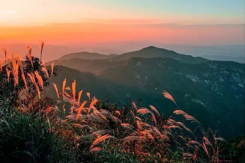 金兰山国家森林公园,满山春花等你来!
