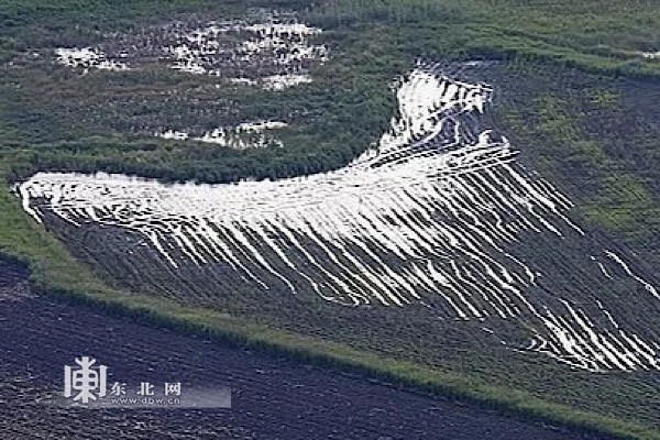 龙江县有多少人口_龙江县的介绍(2)