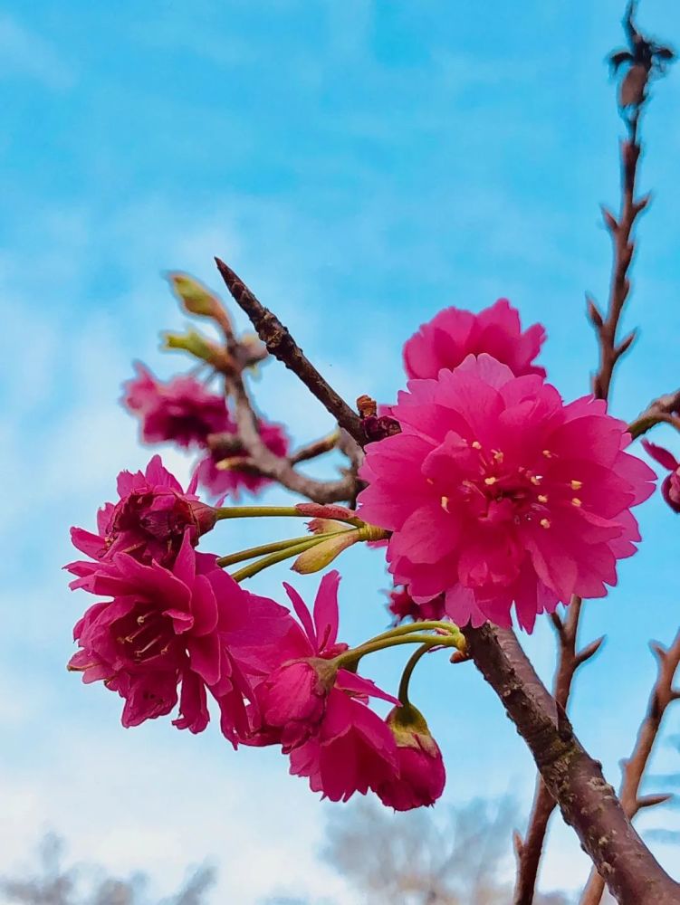 贵港:春暖花开,奔你而来!