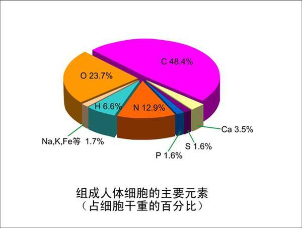 人体细胞组成成分