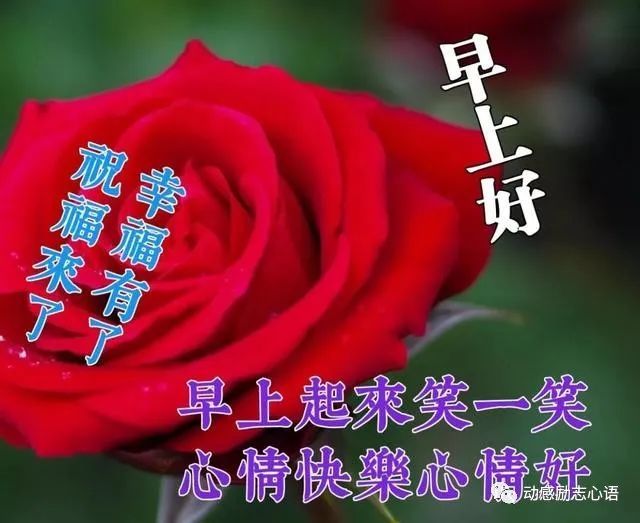 早安吉祥,幸福安康