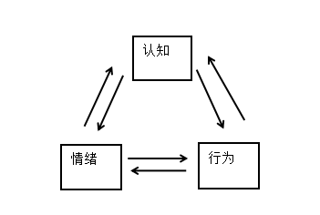 该理论认为人的行为是由认知决定的.