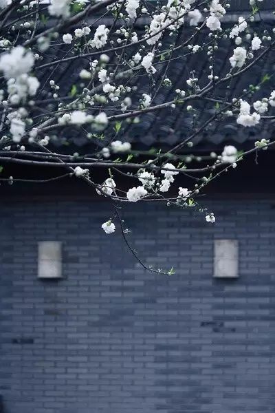 正是江南好风景,落花时节又逢君