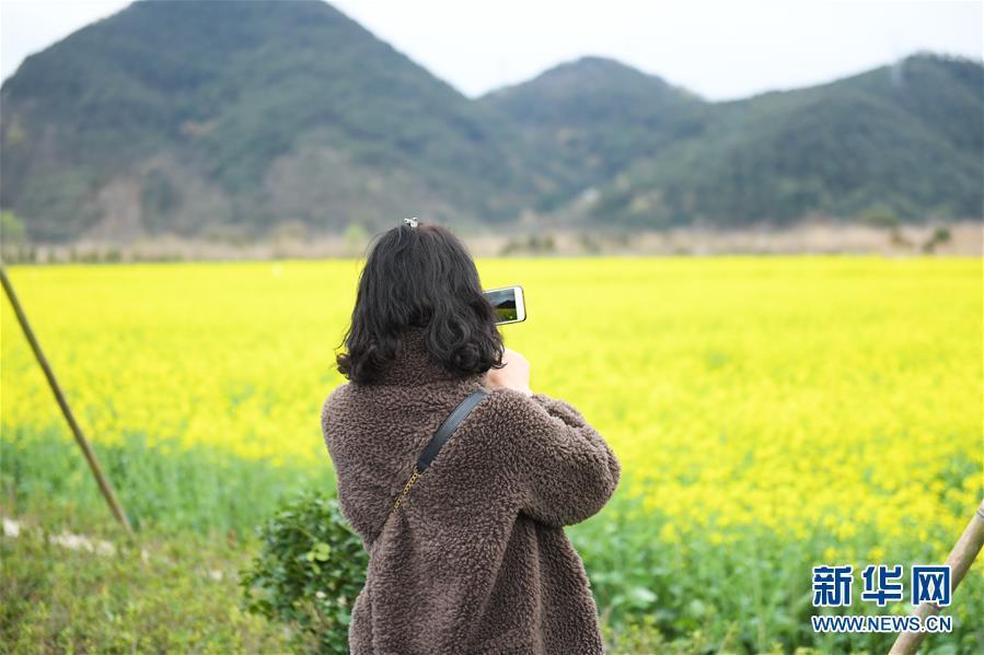 油菜花开布谷湖_腾讯新闻