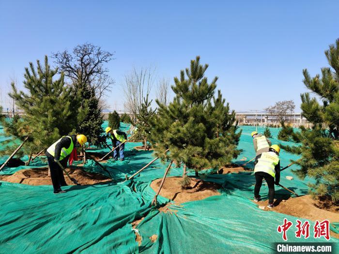 北京市园林绿化局11日发布消息称,今年北京将新增造林绿化20万亩,城市