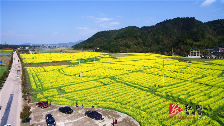 陈俊名)3月10日,湖南省怀化市靖州苗族侗族自治县渠阳镇横江桥便民