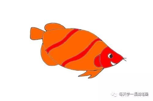 每天学一幅简笔画-可爱的龙鱼简笔画步骤画法教程