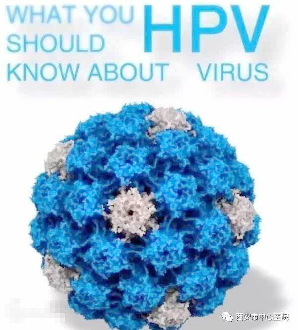 春天的温馨提示——教你预防hpv感染