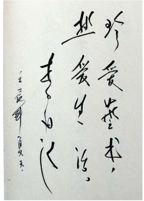 李双江写了幅书法,字体俊朗潇洒,专家:有势无骨,没有味道
