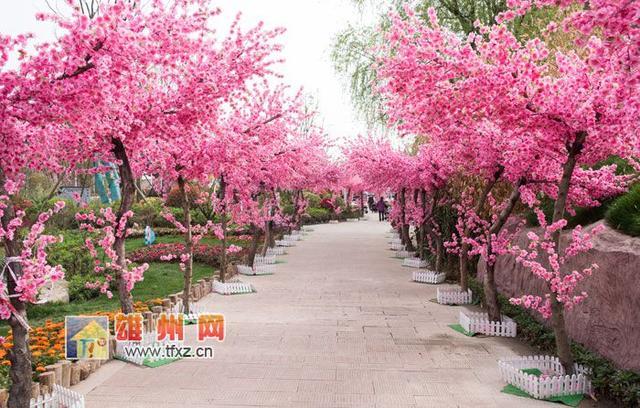 简阳东来桃源景区桃花盛开
