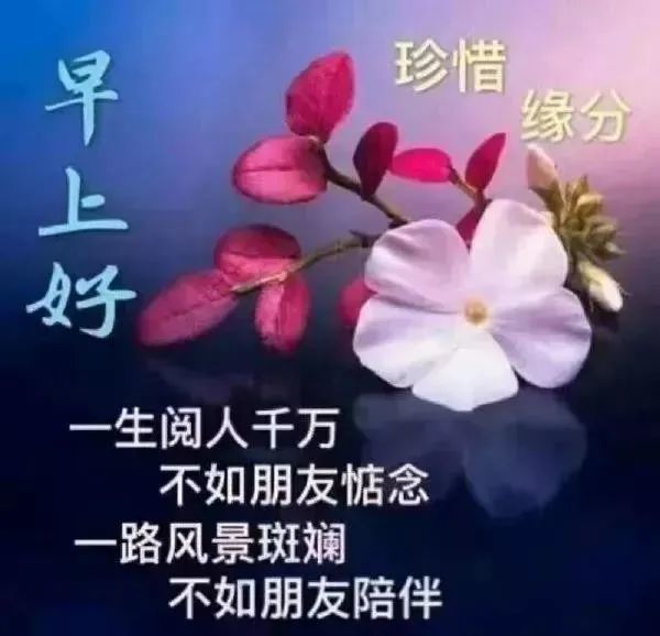 6月8日早晨好的问候语图片表情 发朋友圈好看的早晨