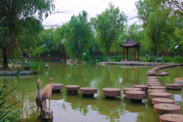 【官宣】漯河神州鸟园景区3月12日起恢复开放!