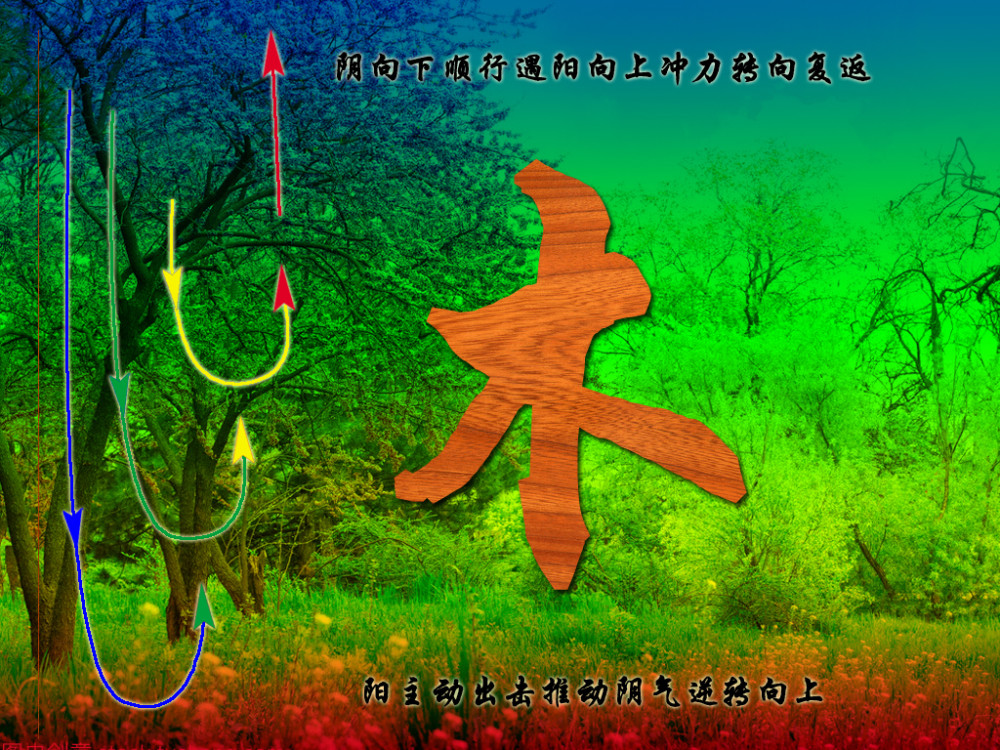万物皆五行,五行之中的木都归类于哪些事物呢?