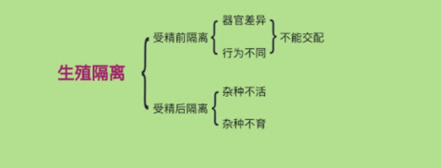 如果人和猫科动物没有生殖隔离,世界将会怎样?