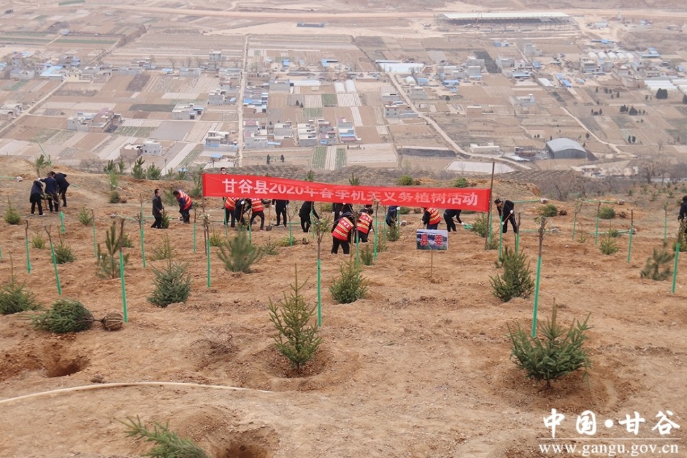 甘谷县新兴镇GDP_甘谷县新兴镇社会经济发展综述