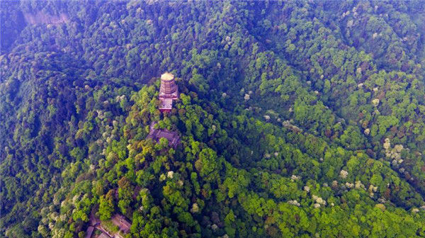 青城山都江堰,剑门关 全省已有218家a级景区限流开放