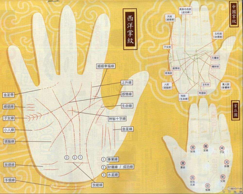 手相是财富之眼,这4种手相中藏着财富的秘密,看看你的