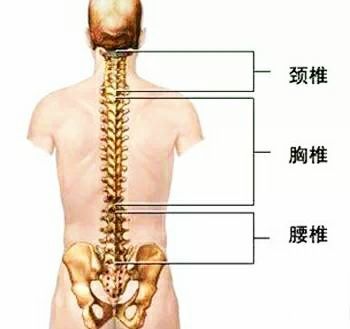 2,胸椎错位可能引起的健康问题