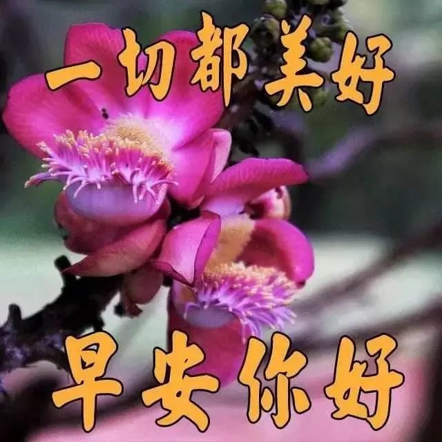7月24日清晨阳光最新祝福语大全 早上好问候语及暖心的话