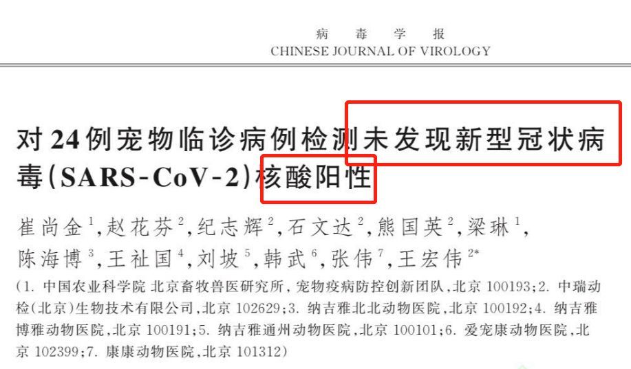 都来道歉!香港新冠弱阳狗狗血清检测阴性,查不出抗体不能实锤感染