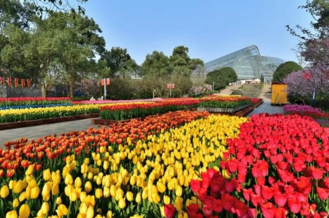 南山植物园今起恢复开园 购票请网上实名预约