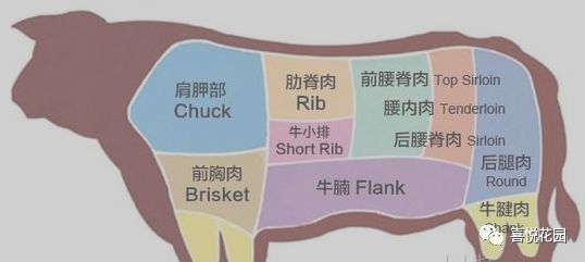 牛肉的不同部位