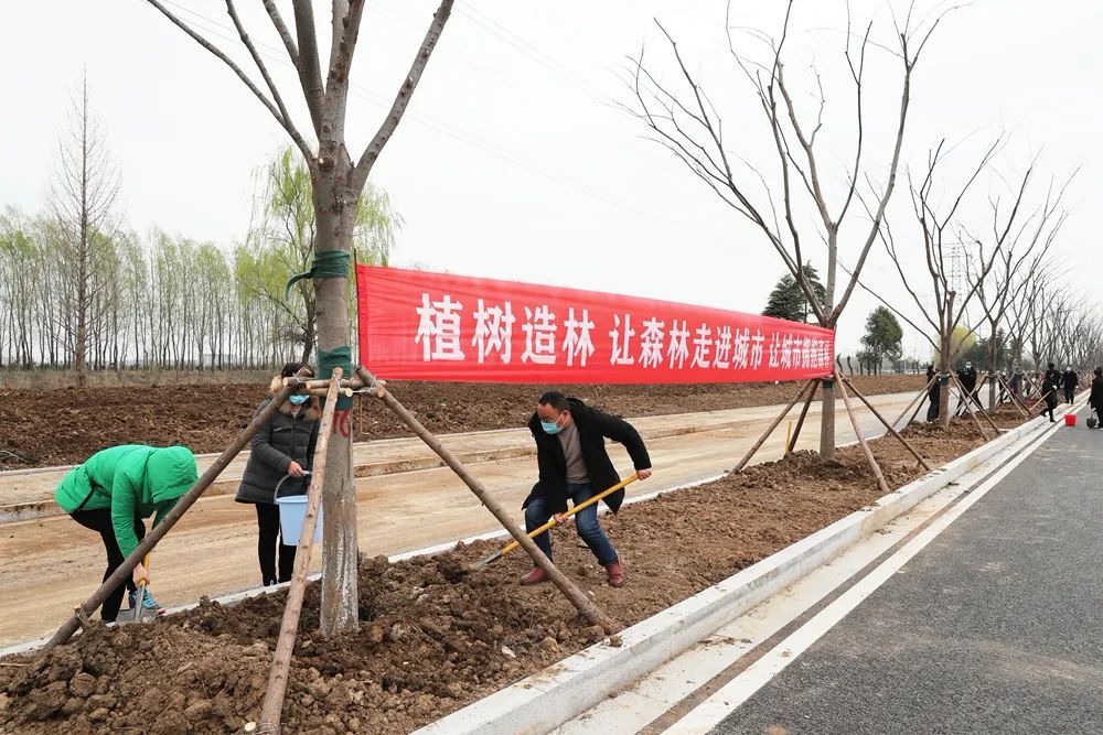 邳州人均_邳州地图(3)