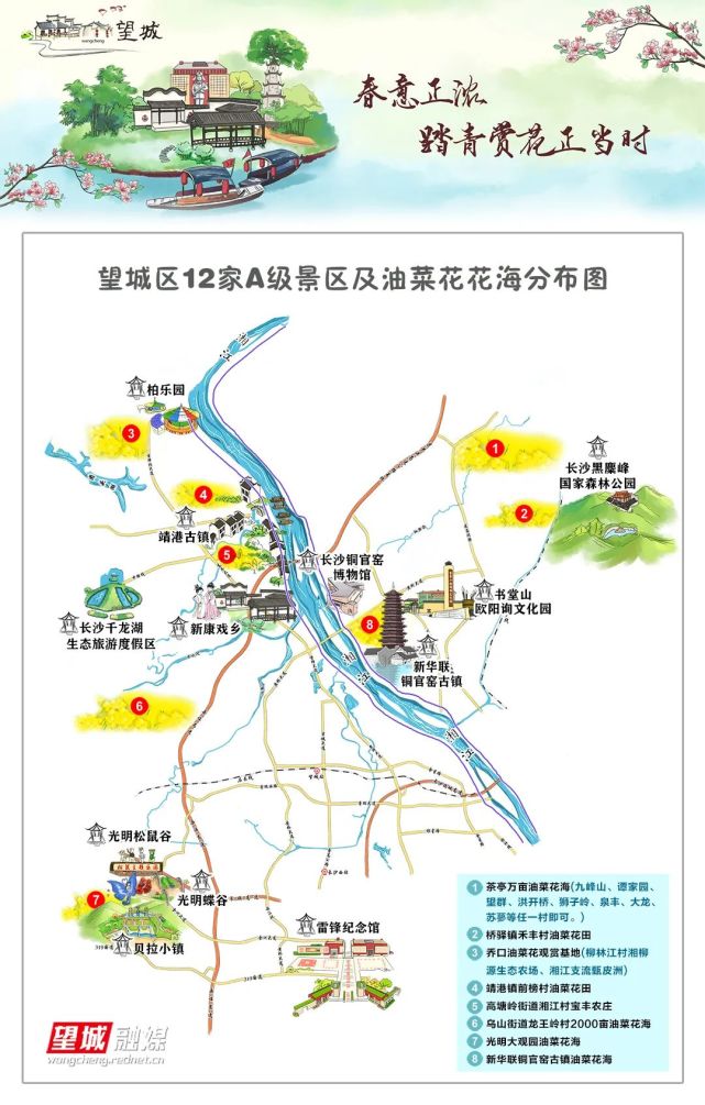 8处 油菜花花海 网红打卡点 你们要的导航和旅游地图 记得收藏在手机