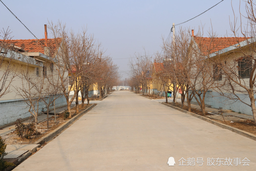 谭庄人口_哥谭企鹅人图片(2)