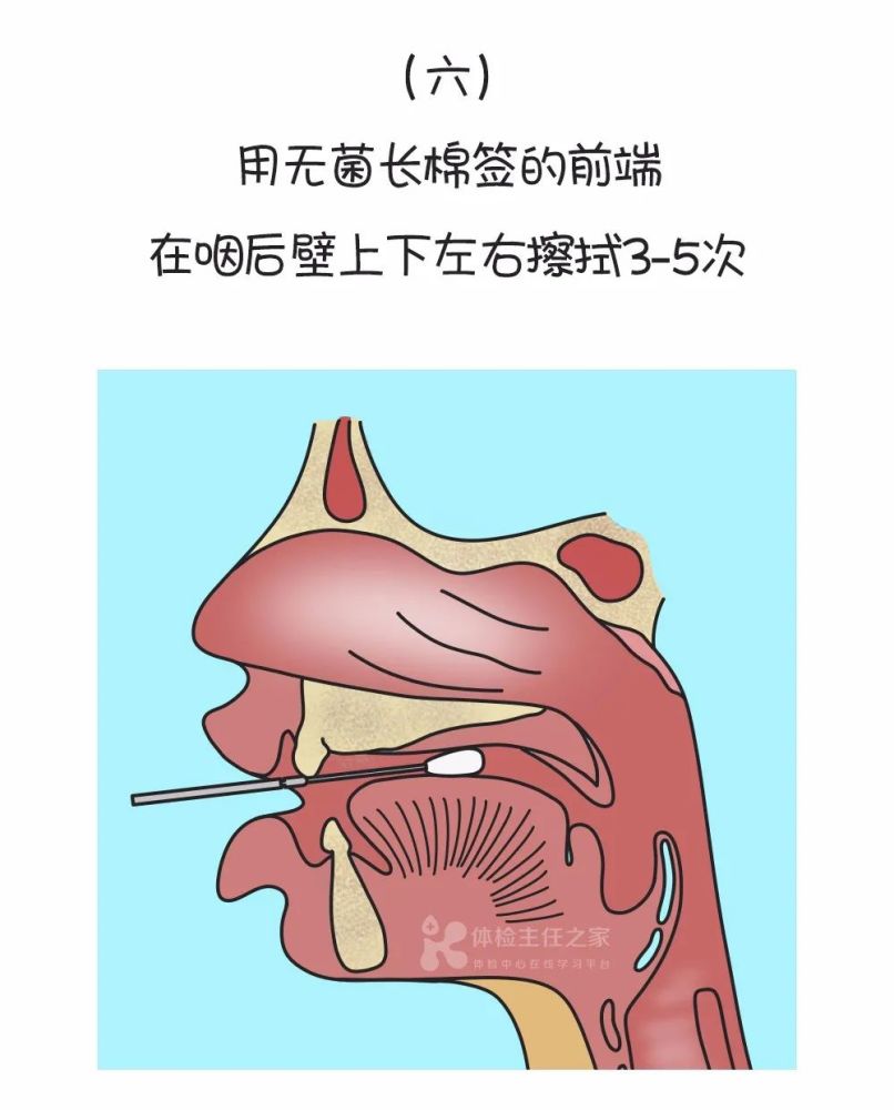 一图读懂!"新冠肺炎"核酸检测流程