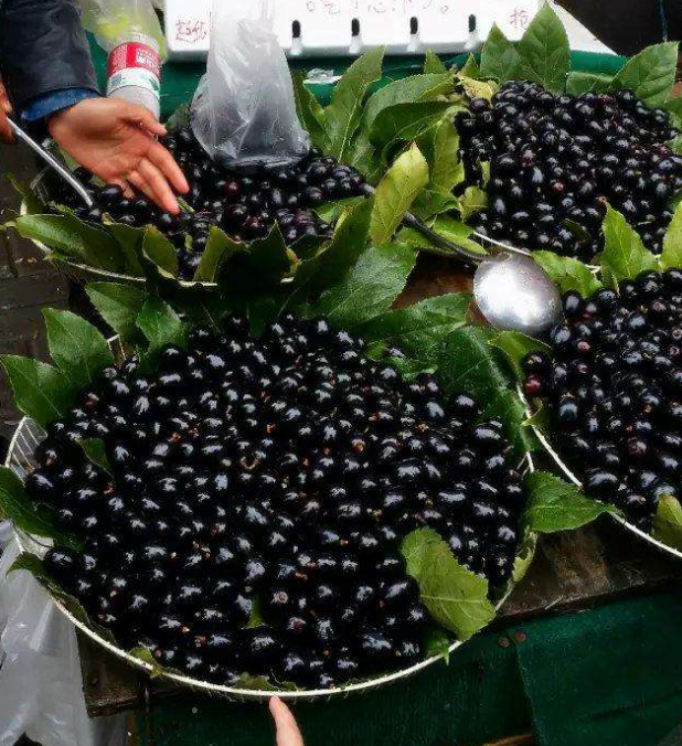 大叔甩卖"黑色"水果,20元一斤,路人嫌贵,顾客:就怕卖完了!