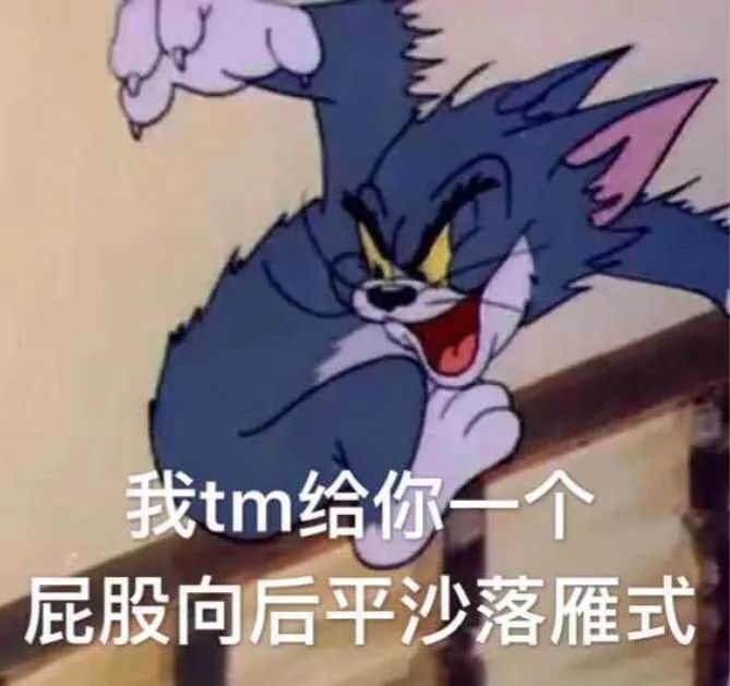 猫和老鼠表情包