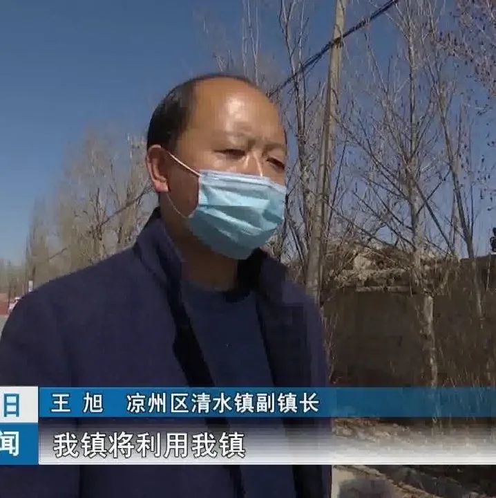 凉州区清水镇 副镇长 王旭