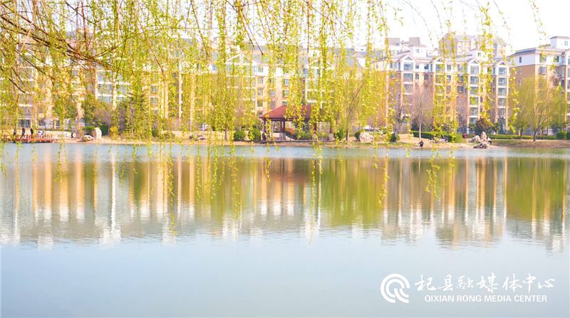 春天总是带着希望向我们走来, 杞县这座小城更是云暖风轻春意浓.