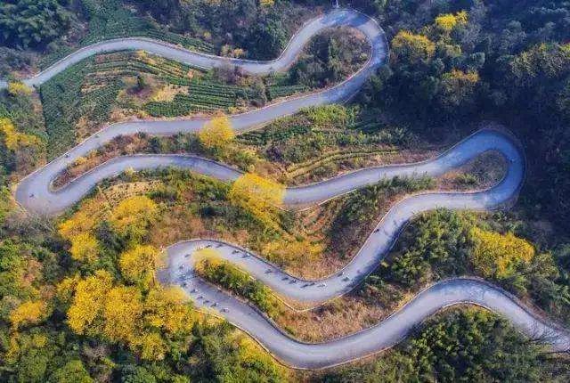 线路:富阳渔山墅溪村—林峰山林道—里山安顶山