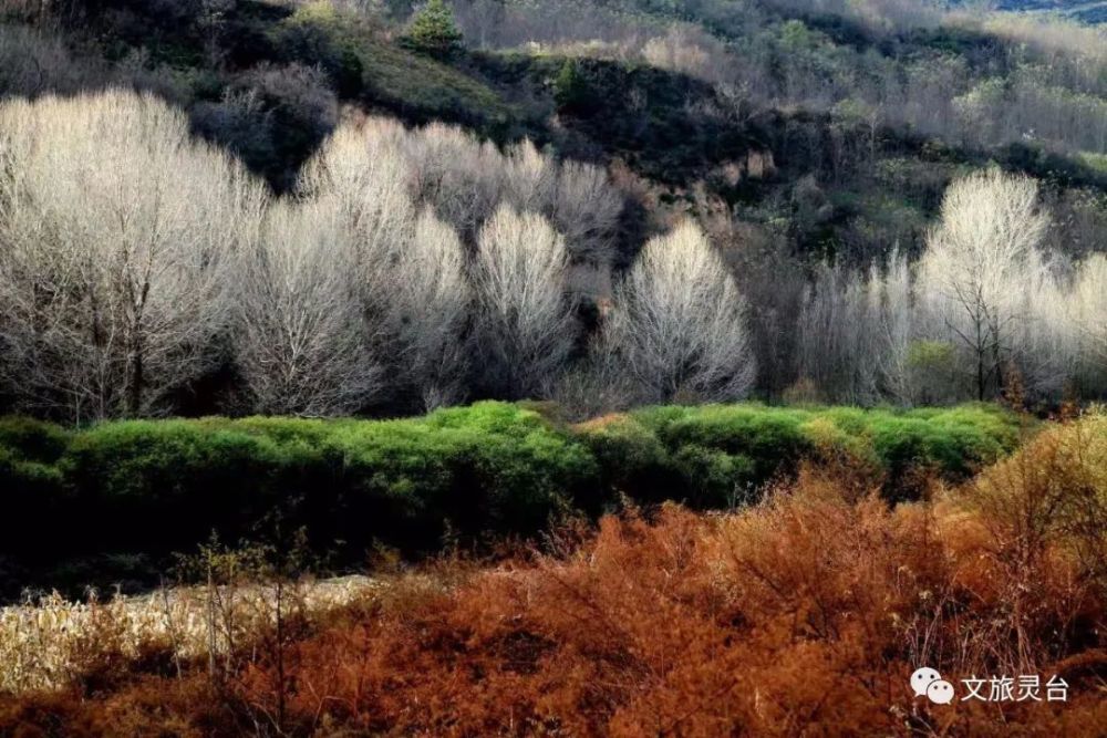 素有灵台"九寨沟"之称的大华沟,位于百里镇西南方,走近她,每个季节