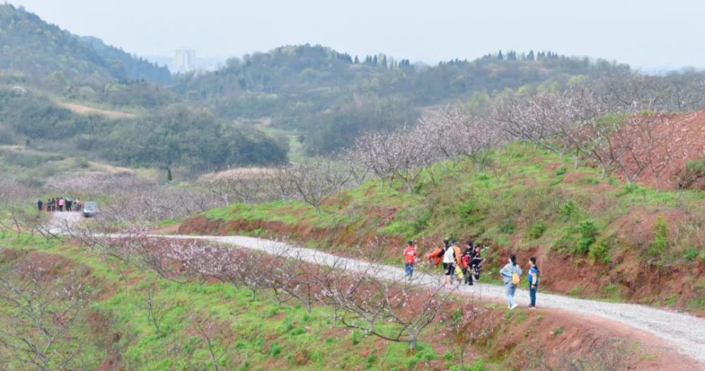 疫散花开:近日,位于祁东县金桥镇与衡南县柞市镇交界处的衡南清园