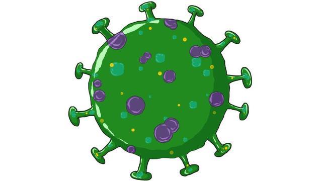 新型冠状病毒的终极儿童指南