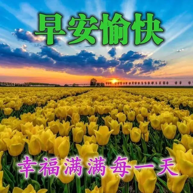 2月14日春季周四早上好问候语春天周四早安问候温馨的好看的图片带字