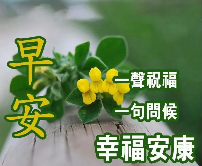 5月5日特漂亮的周二夏季下雨天早上好动图表情包 夏日