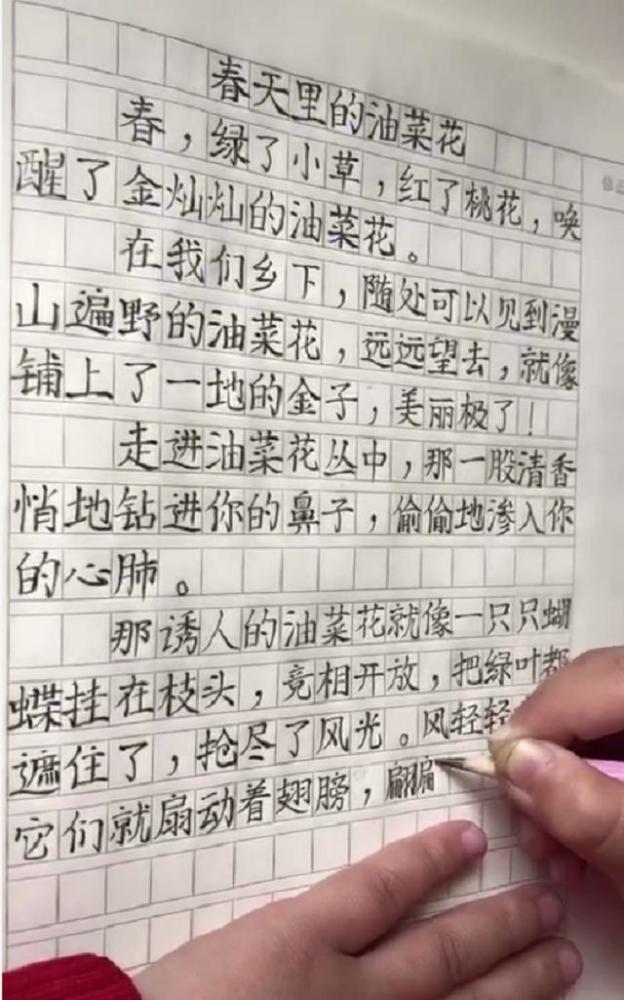 二年级学霸的日记,不仅思路清晰,而且书写工整美观,获