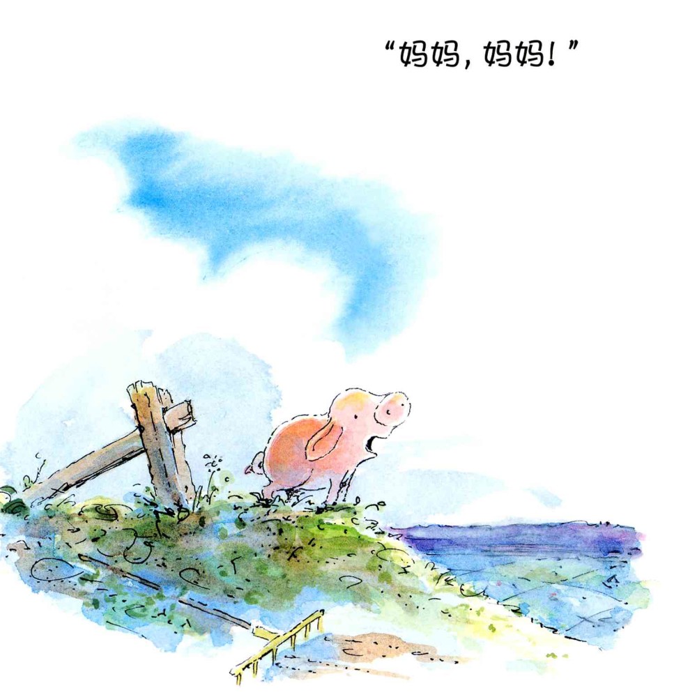 儿童绘本故事推荐《皮皮猪和妈妈》