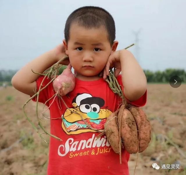 被誉为最具才情的90后作家夏七年是如何带领乡亲们致富的
