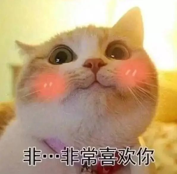 情侣互撩套路表情包|举头望明月,低头想亲你