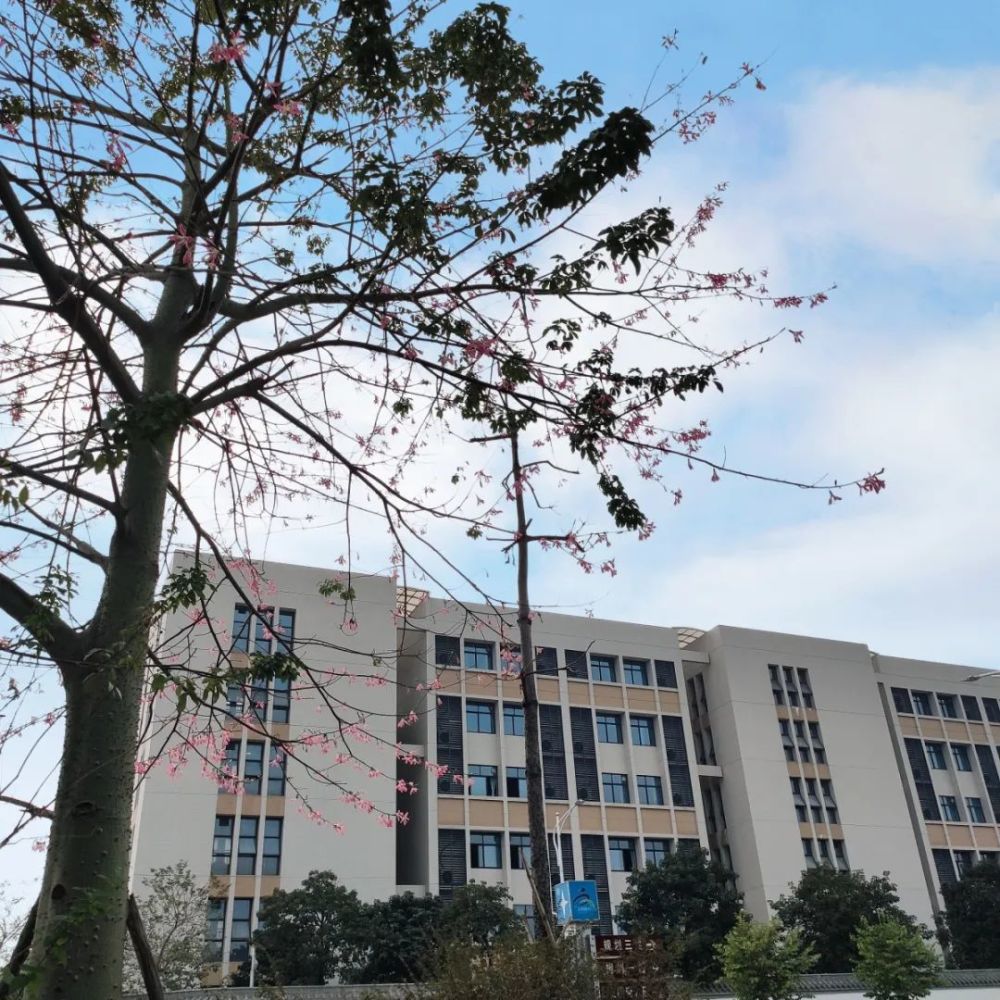 佛山市第四中学