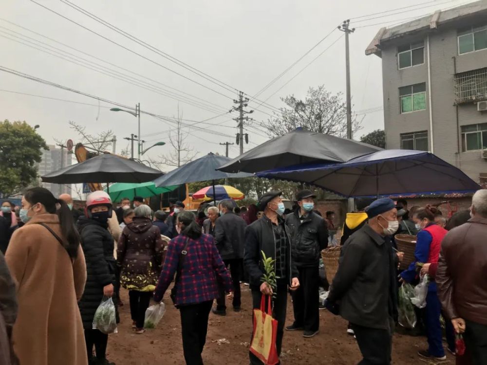 今天赶安岳我们去看下取消后的杨家湾市场呢