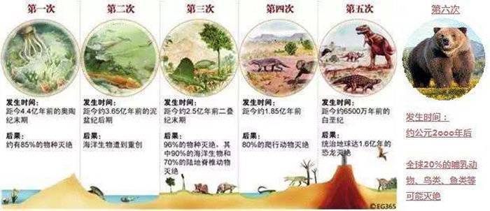 珊瑚白化,南极西瓜雪,地球正在经历第六次物种大灭绝吗_腾讯新闻