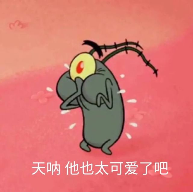 这是什么绝世小可爱