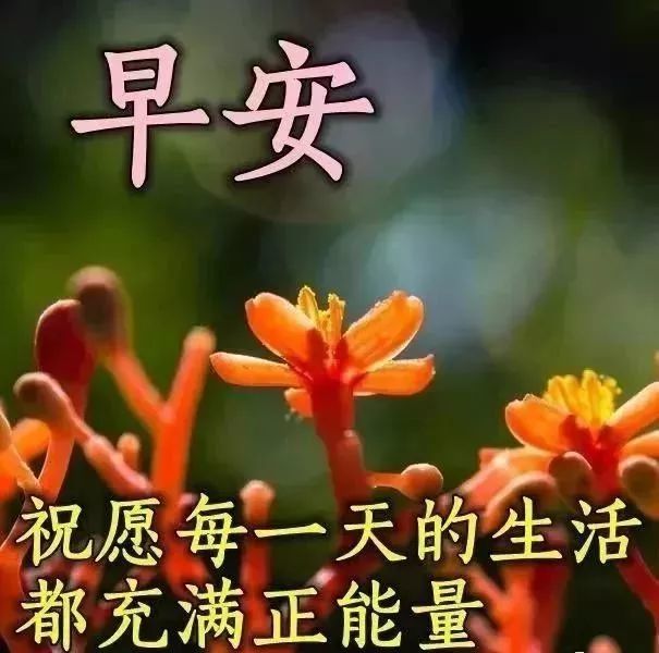 一句话早安心语漂亮的早上好表情图片合集 清晨早安祝福语唯美的句子