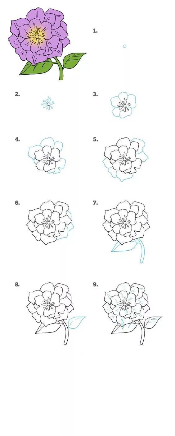 精选各类花的简笔画大全